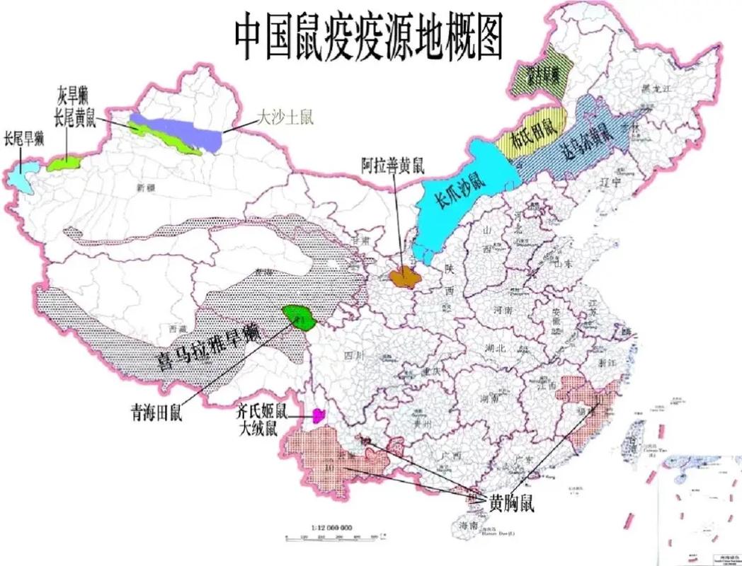 内蒙古传染病疫情最新消息，内蒙古传染病疫情最新消息通知