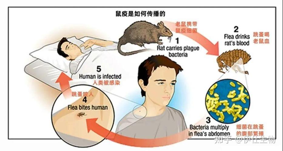 内蒙古传染病疫情最新消息,内蒙古传染病疫情最新消息通知-第6张图片-柯迪百科 内蒙古传染病疫情最新消息,内蒙古传染病疫情最新消息通知-第6张图片-柯迪百科