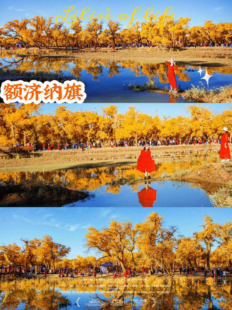 额济纳旗天气10月?额济纳旗天气10月份?-第3张图片-柯迪百科 额济纳旗天气10月?额济纳旗天气10月份?-第3张图片-柯迪百科