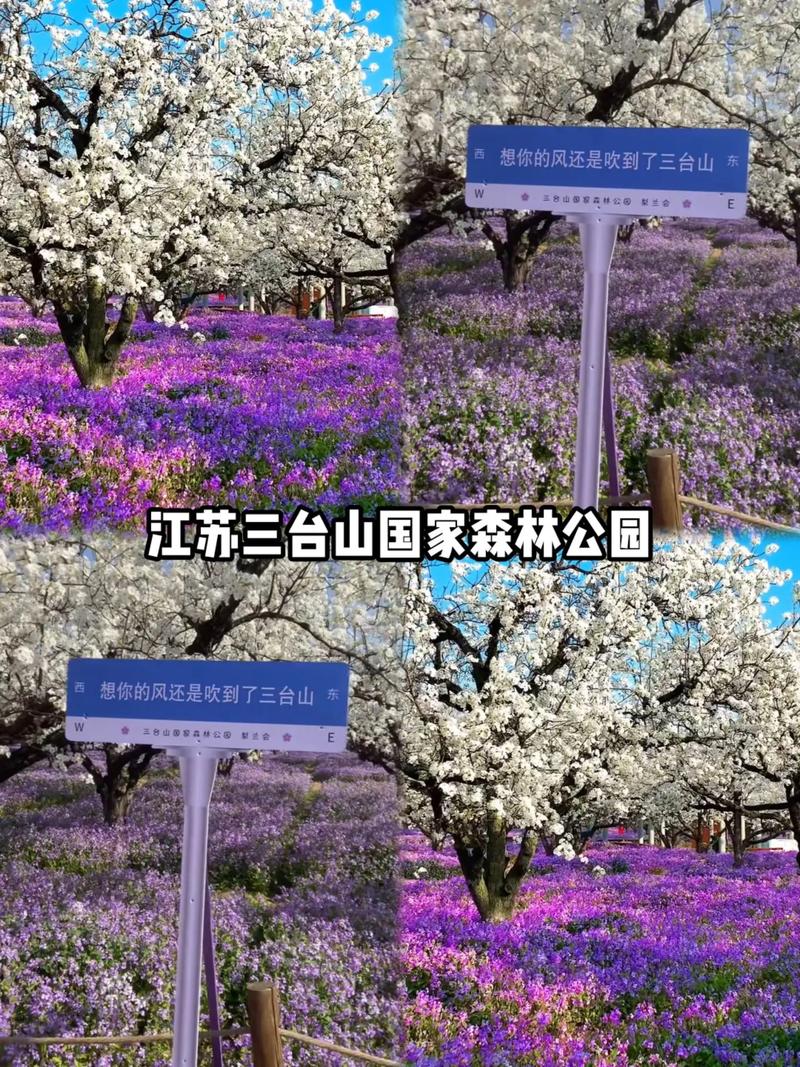 江苏三台山天气预报，宿迁市三台山天气？