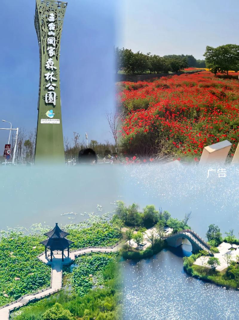 江苏三台山天气预报,宿迁市三台山天气?-第2张图片-柯迪百科 江苏三台山天气预报,宿迁市三台山天气?-第2张图片-柯迪百科