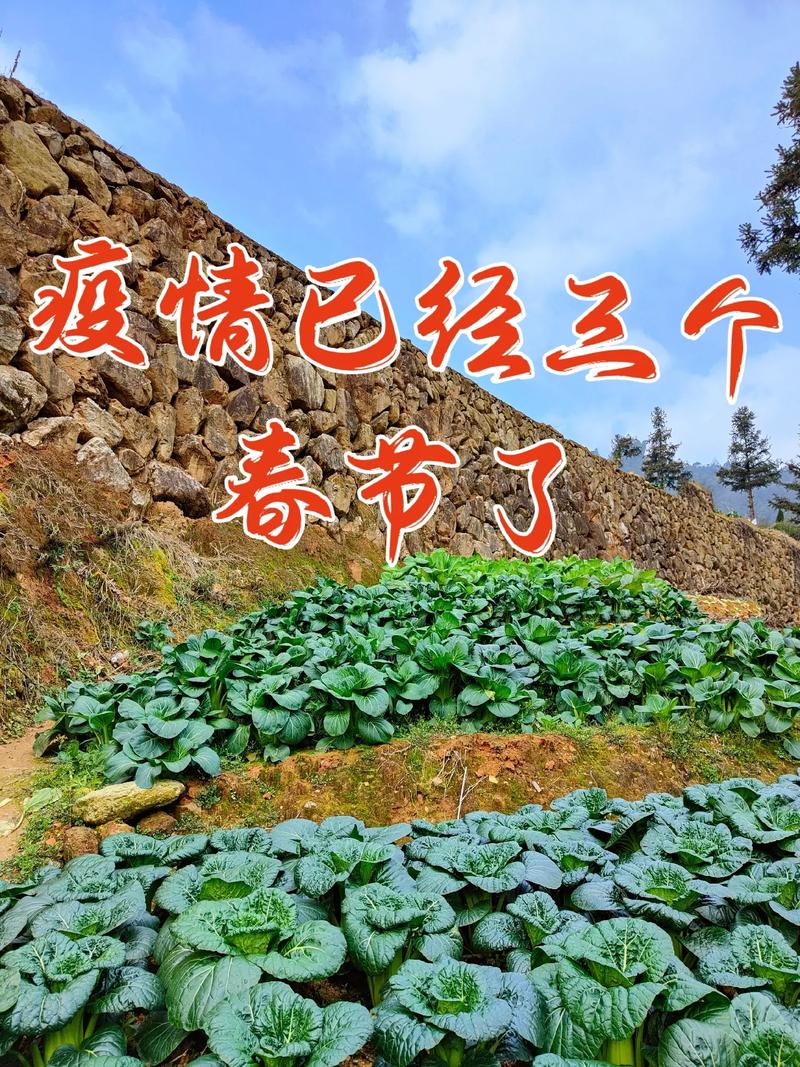 疫情会影响疫情吗?疫情会不会影响正常生活?-第7张图片-柯迪百科 疫情会影响疫情吗?疫情会不会影响正常生活?-第7张图片-柯迪百科