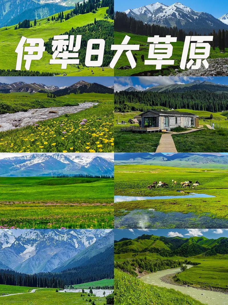 希拉穆仁大草原?希拉穆仁大草原天气?-第5张图片-柯迪百科 希拉穆仁大草原?希拉穆仁大草原天气?-第5张图片-柯迪百科