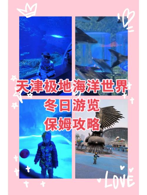 天津极地海洋世界,天津极地海洋世界在哪个区-第4张图片-柯迪百科 天津极地海洋世界,天津极地海洋世界在哪个区-第4张图片-柯迪百科