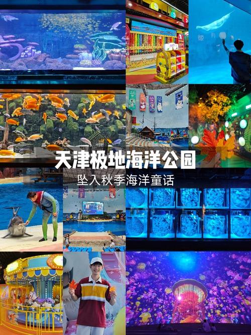 天津极地海洋世界,天津极地海洋世界在哪个区-第5张图片-柯迪百科 天津极地海洋世界,天津极地海洋世界在哪个区-第5张图片-柯迪百科