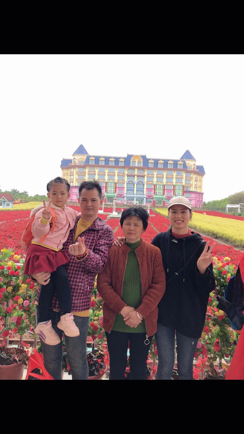 百万葵园门票?百万葵园门票费用一览表?-第3张图片-柯迪百科 百万葵园门票?百万葵园门票费用一览表?-第3张图片-柯迪百科