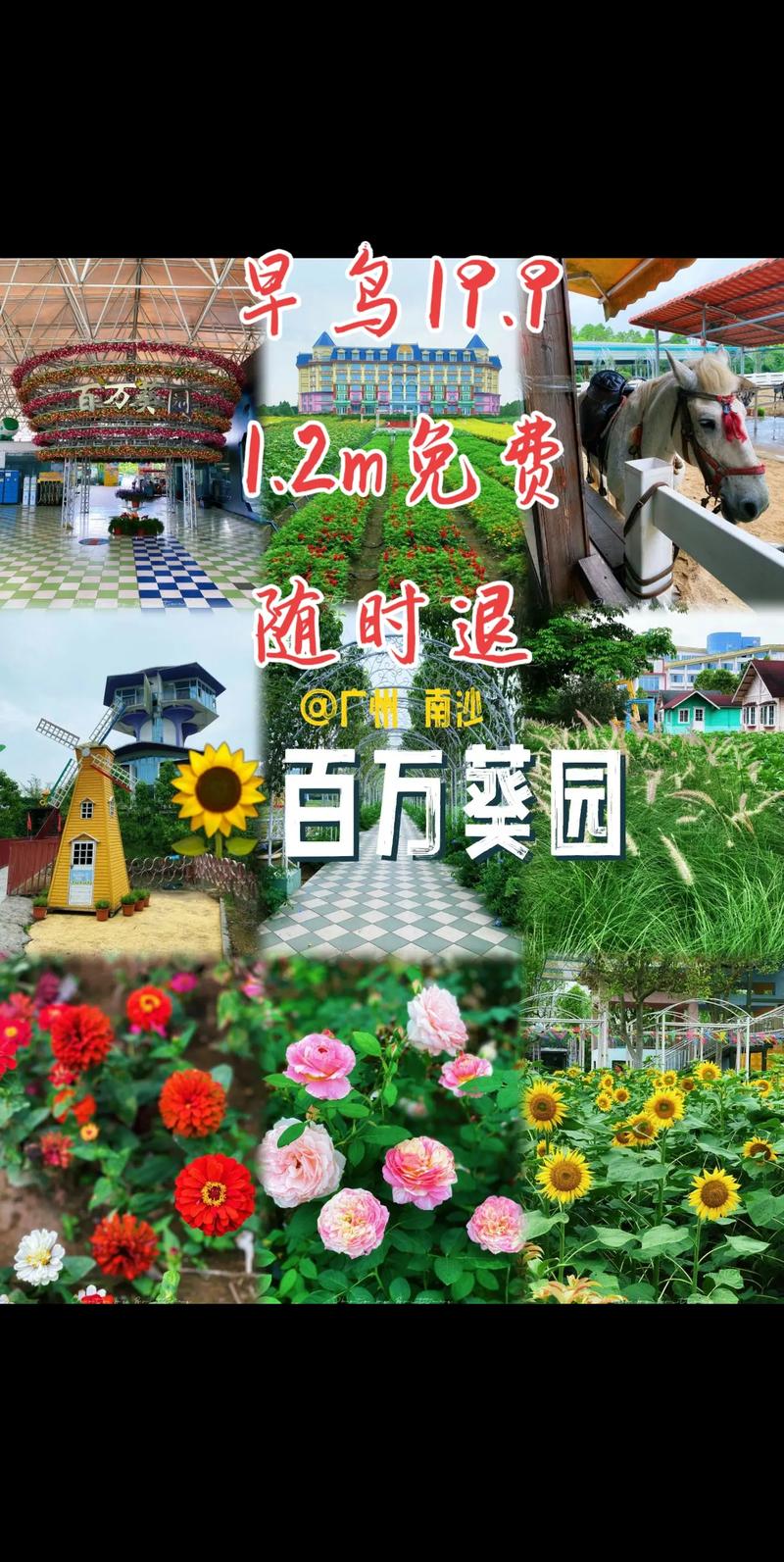 百万葵园门票?百万葵园门票费用一览表?-第7张图片-柯迪百科 百万葵园门票?百万葵园门票费用一览表?-第7张图片-柯迪百科