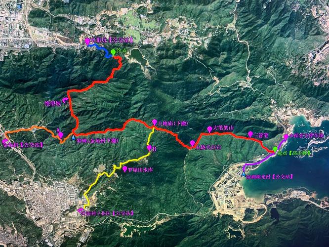 深圳求水山公园，深圳求水山公园樱花