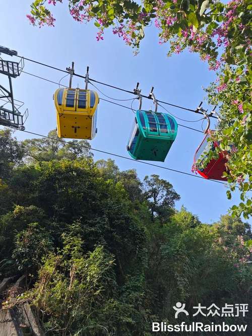 深圳求水山公园,深圳求水山公园樱花-第6张图片-柯迪百科 深圳求水山公园,深圳求水山公园樱花-第6张图片-柯迪百科