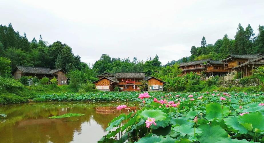 沐川一周前天气预报,沐川天气预报未来三天-第7张图片-柯迪百科 沐川一周前天气预报,沐川天气预报未来三天-第7张图片-柯迪百科
