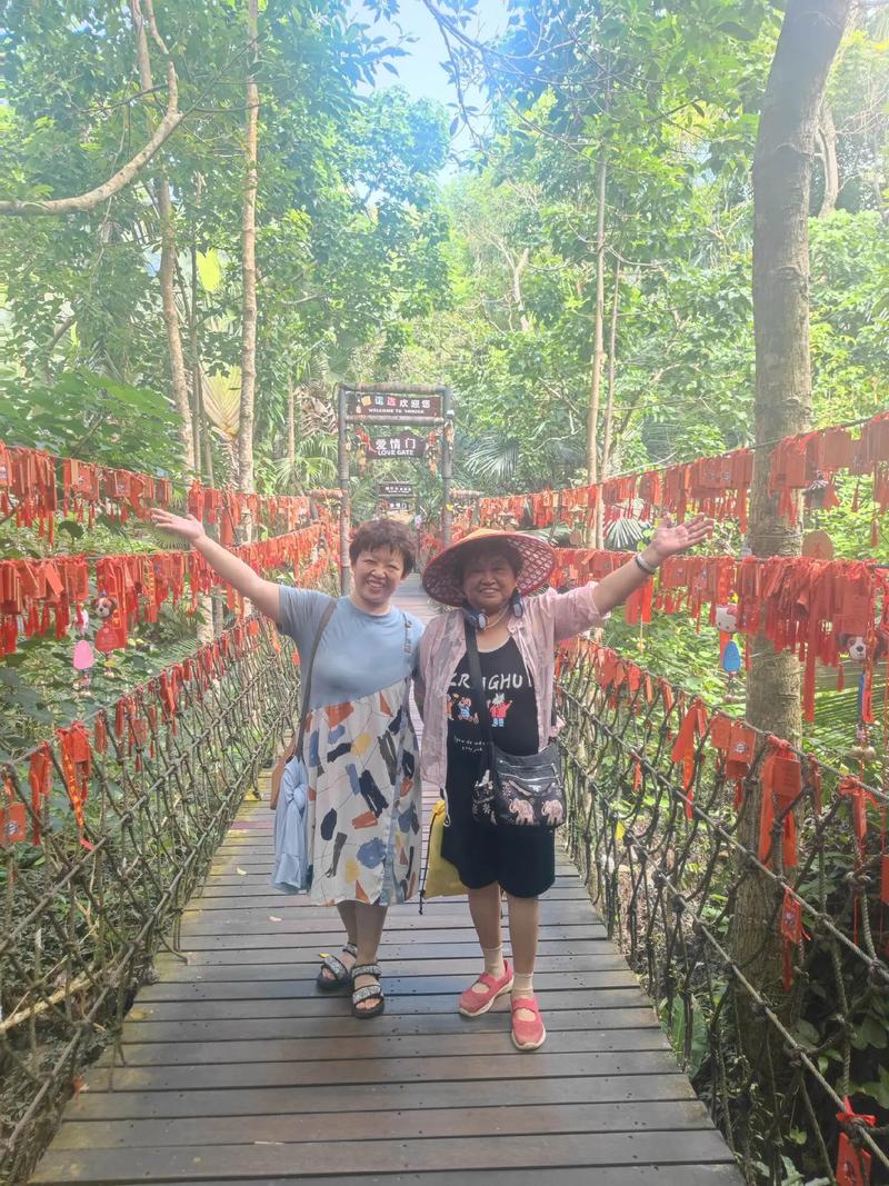 呀诺达雨林文化旅游区，呀诺达雨林文化旅游区图片