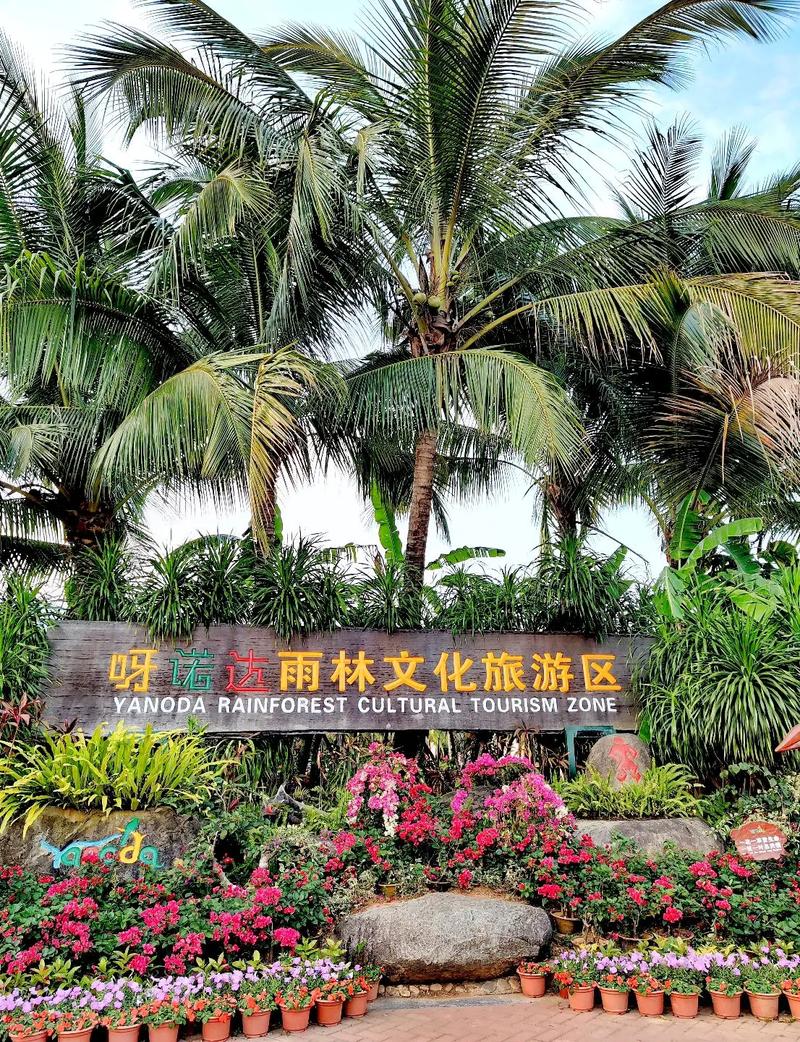 呀诺达雨林文化旅游区,呀诺达雨林文化旅游区图片-第2张图片-柯迪百科 呀诺达雨林文化旅游区,呀诺达雨林文化旅游区图片-第2张图片-柯迪百科