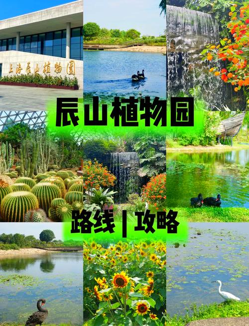 上海辰山植物园门票，上海景区有哪些景点推荐