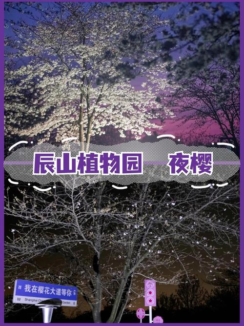 上海辰山植物园门票,上海景区有哪些景点推荐-第3张图片-柯迪百科 上海辰山植物园门票,上海景区有哪些景点推荐-第3张图片-柯迪百科