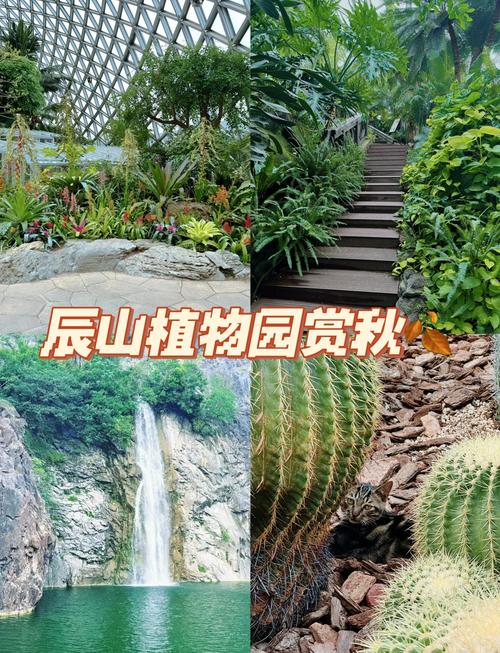 上海辰山植物园门票,上海景区有哪些景点推荐-第4张图片-柯迪百科 上海辰山植物园门票,上海景区有哪些景点推荐-第4张图片-柯迪百科