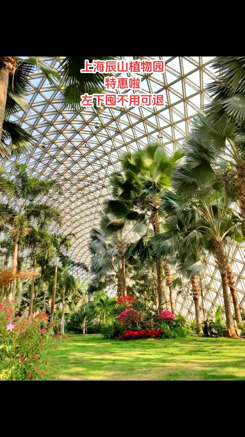 上海辰山植物园门票,上海景区有哪些景点推荐-第7张图片-柯迪百科 上海辰山植物园门票,上海景区有哪些景点推荐-第7张图片-柯迪百科