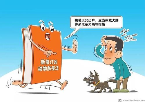 卢旺达肺炎疫情,卢旺达宣布防疫封锁?-第4张图片-柯迪百科 卢旺达肺炎疫情,卢旺达宣布防疫封锁?-第4张图片-柯迪百科