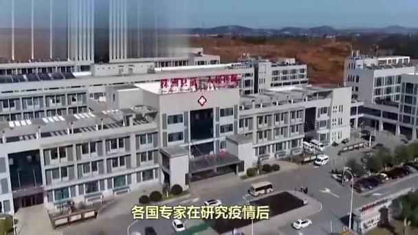 南京此轮疫情毒株为德尔塔,南京疫情毒株德尔塔起因?-第4张图片-柯迪百科 南京此轮疫情毒株为德尔塔,南京疫情毒株德尔塔起因?-第4张图片-柯迪百科