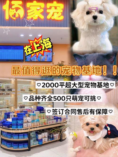 新闻晨报上海天气,上海天气时报-第2张图片-柯迪百科 新闻晨报上海天气,上海天气时报-第2张图片-柯迪百科
