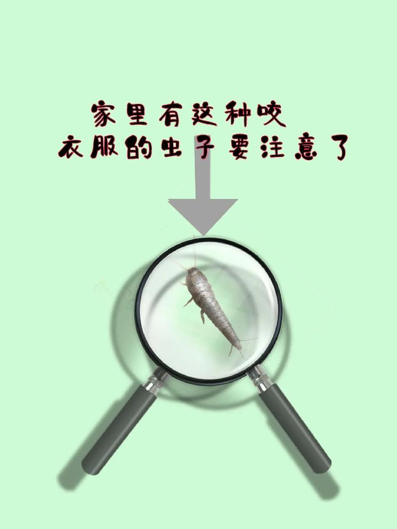新闻晨报上海天气,上海天气时报-第4张图片-柯迪百科 新闻晨报上海天气,上海天气时报-第4张图片-柯迪百科