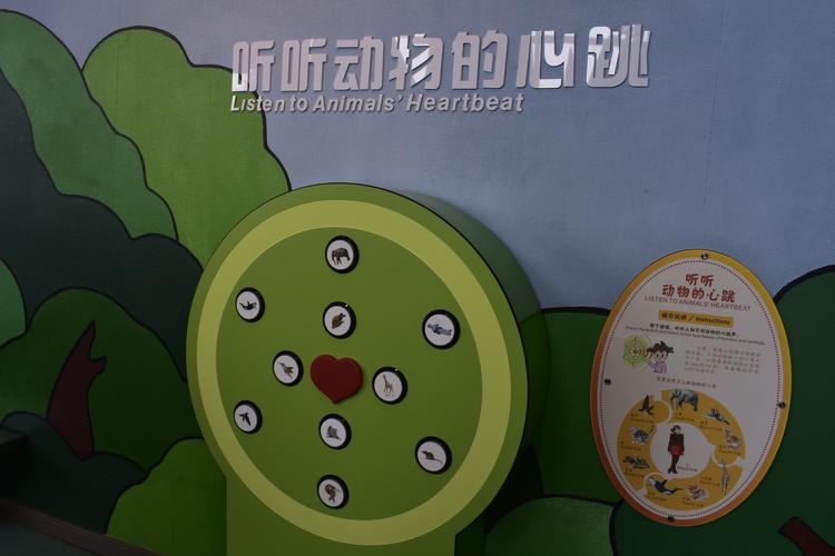 广东科学中心地址,广东科学中心地址是哪个镇?-第8张图片-柯迪百科 广东科学中心地址,广东科学中心地址是哪个镇?-第8张图片-柯迪百科