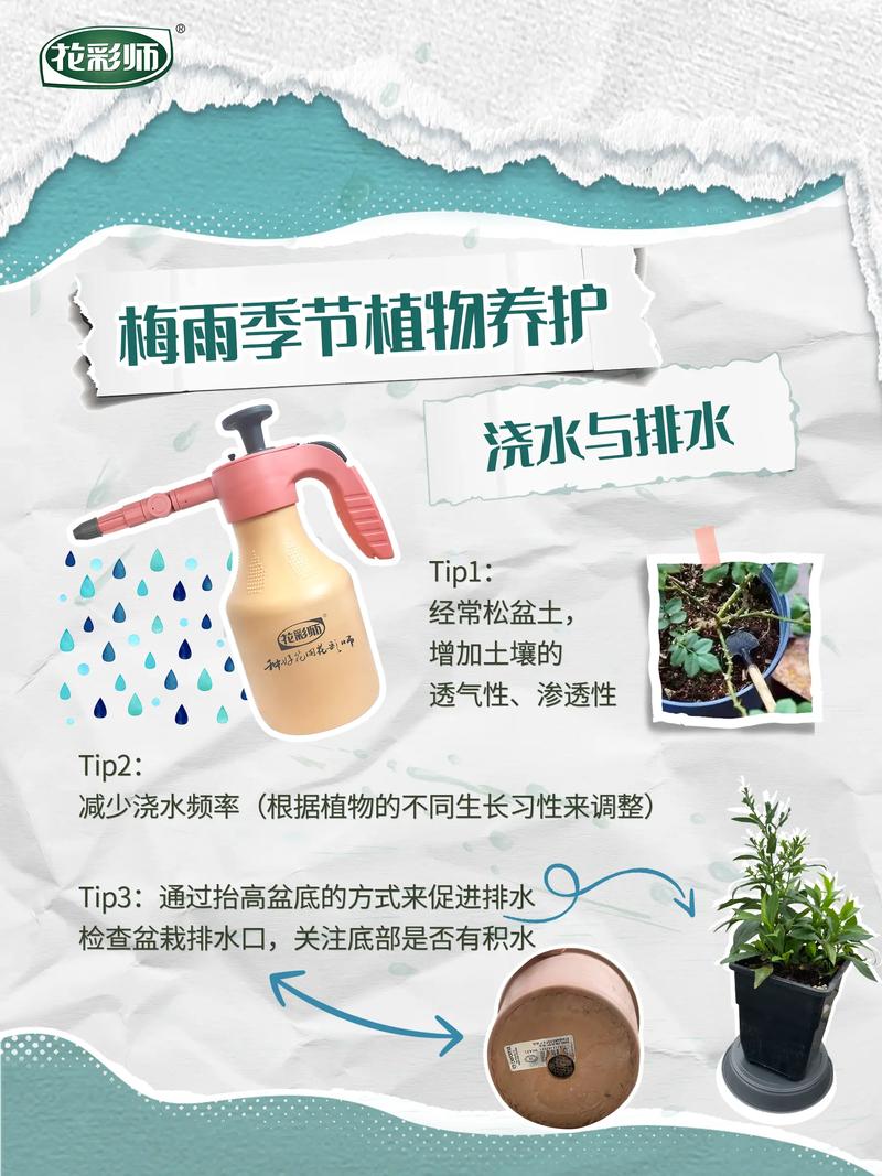 建德天气预报闷热?建徳天气?-第8张图片-柯迪百科 建德天气预报闷热?建徳天气?-第8张图片-柯迪百科