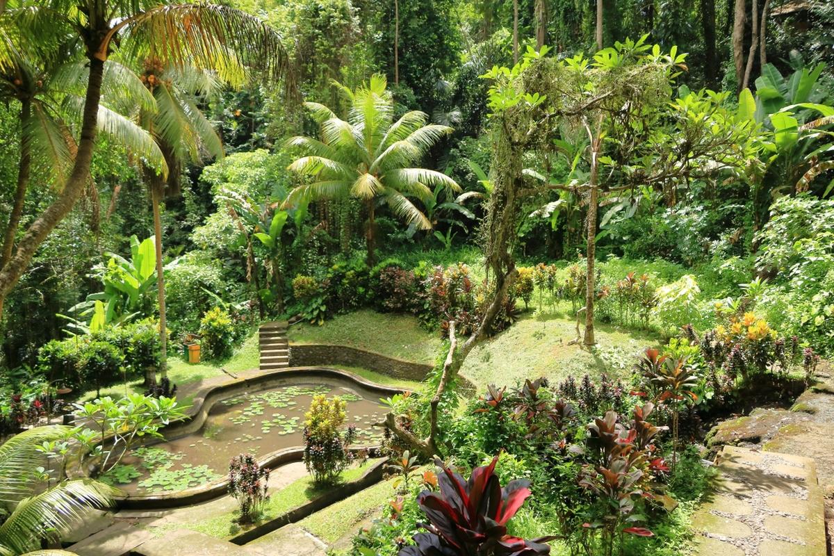 湛江南亚热带植物园?湛江南亚热带植物园介绍?-第4张图片-柯迪百科 湛江南亚热带植物园?湛江南亚热带植物园介绍?-第4张图片-柯迪百科