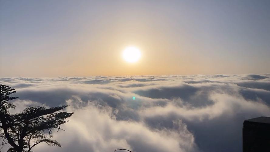 中山区天气预报一周,今天中山区天气?-第2张图片-柯迪百科 中山区天气预报一周,今天中山区天气?-第2张图片-柯迪百科