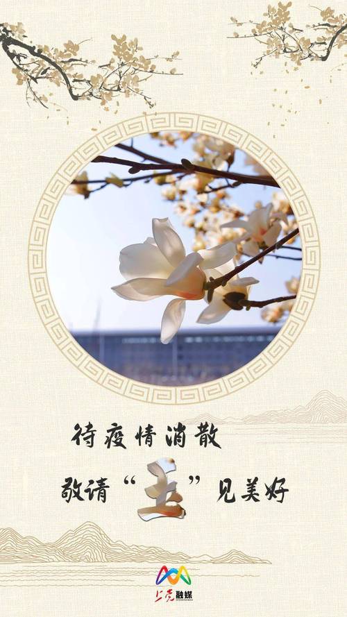 通过这次疫情我希望疫情?通过这次疫情我希望疫情好的句子?-第3张图片-柯迪百科 通过这次疫情我希望疫情?通过这次疫情我希望疫情好的句子?-第3张图片-柯迪百科