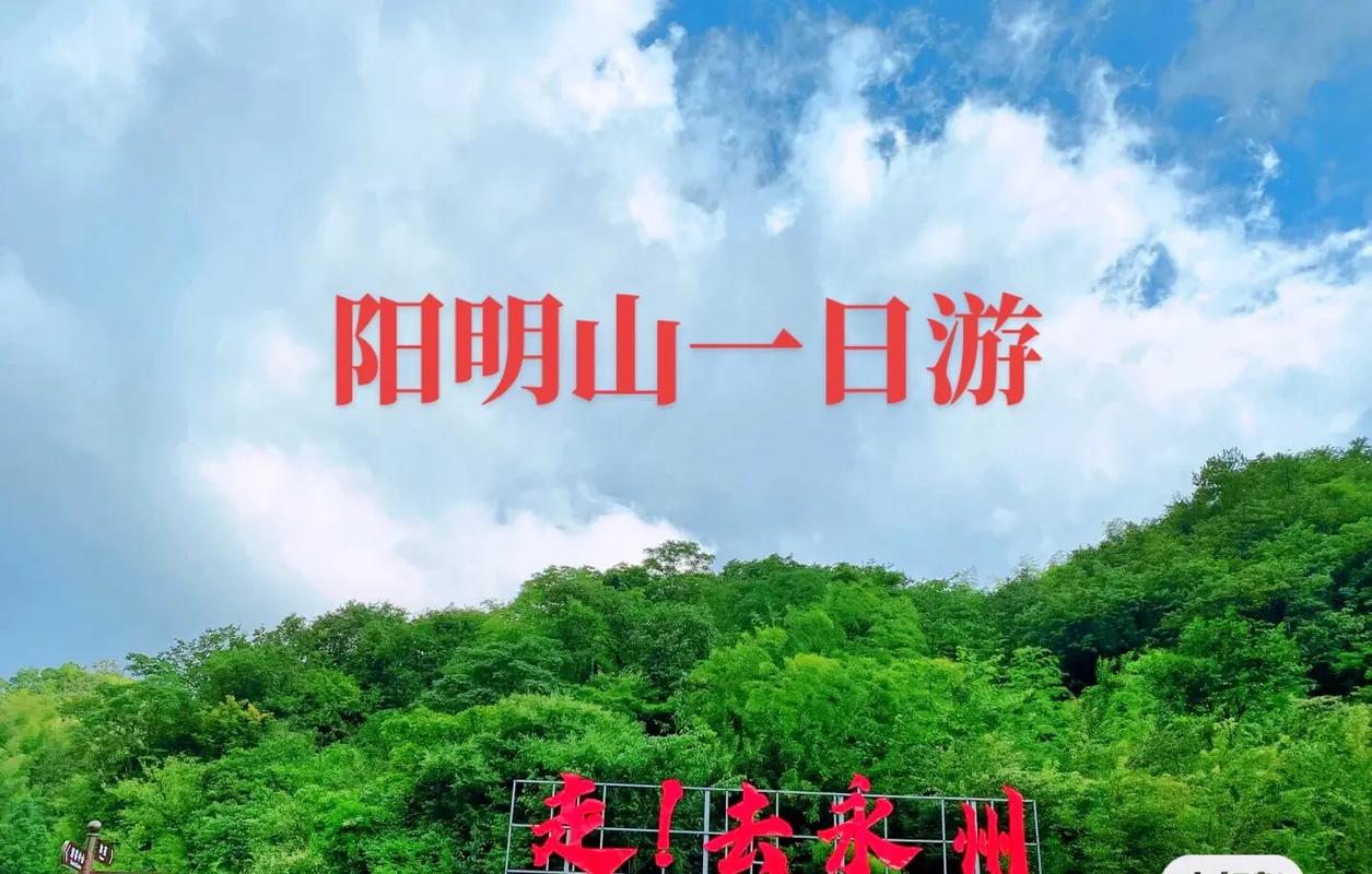 阳明山国家森林公园，阳明山国家森林公园天气-第5张图片-柯迪百科