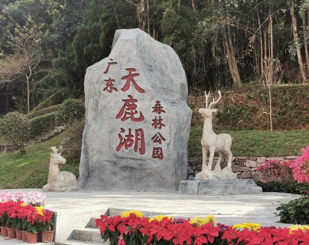 天鹿湖森林公园,天鹿湖森林公园可以带狗吗-第3张图片-柯迪百科 天鹿湖森林公园,天鹿湖森林公园可以带狗吗-第3张图片-柯迪百科