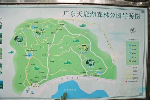 天鹿湖森林公园,天鹿湖森林公园可以带狗吗-第5张图片-柯迪百科 天鹿湖森林公园,天鹿湖森林公园可以带狗吗-第5张图片-柯迪百科