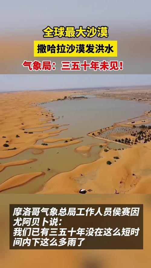 河源天气年降水量?河源全年天气温度?-第3张图片-柯迪百科 河源天气年降水量?河源全年天气温度?-第3张图片-柯迪百科