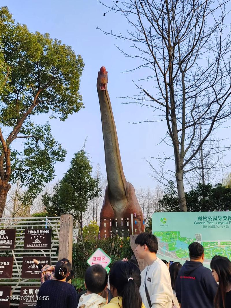 上海顾村公园，上海顾村公园属于哪个区？