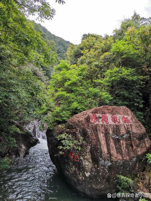银瓶山森林公园,东莞银瓶山森林公园?-第2张图片-柯迪百科 银瓶山森林公园,东莞银瓶山森林公园?-第2张图片-柯迪百科