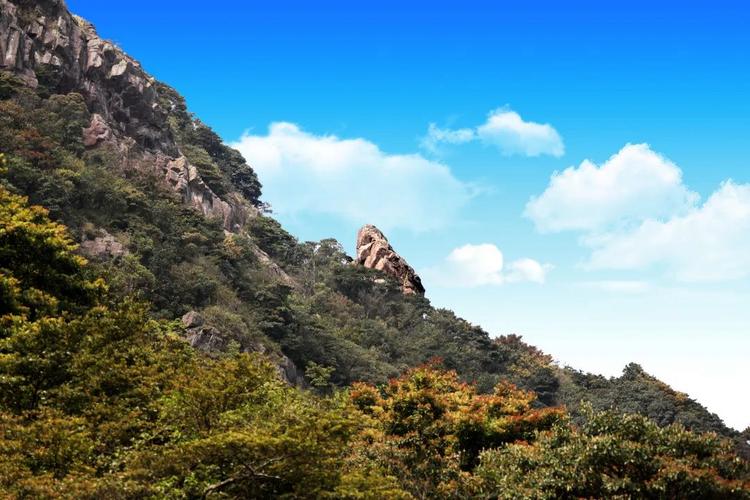 银瓶山森林公园,东莞银瓶山森林公园?-第5张图片-柯迪百科 银瓶山森林公园,东莞银瓶山森林公园?-第5张图片-柯迪百科
