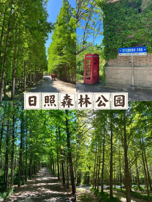 日照森林公园,日照森林公园收费吗?-第1张图片-柯迪百科 日照森林公园,日照森林公园收费吗?-第1张图片-柯迪百科