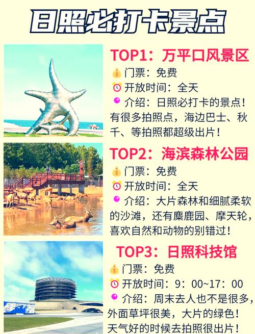 日照森林公园,日照森林公园收费吗?-第3张图片-柯迪百科 日照森林公园,日照森林公园收费吗?-第3张图片-柯迪百科