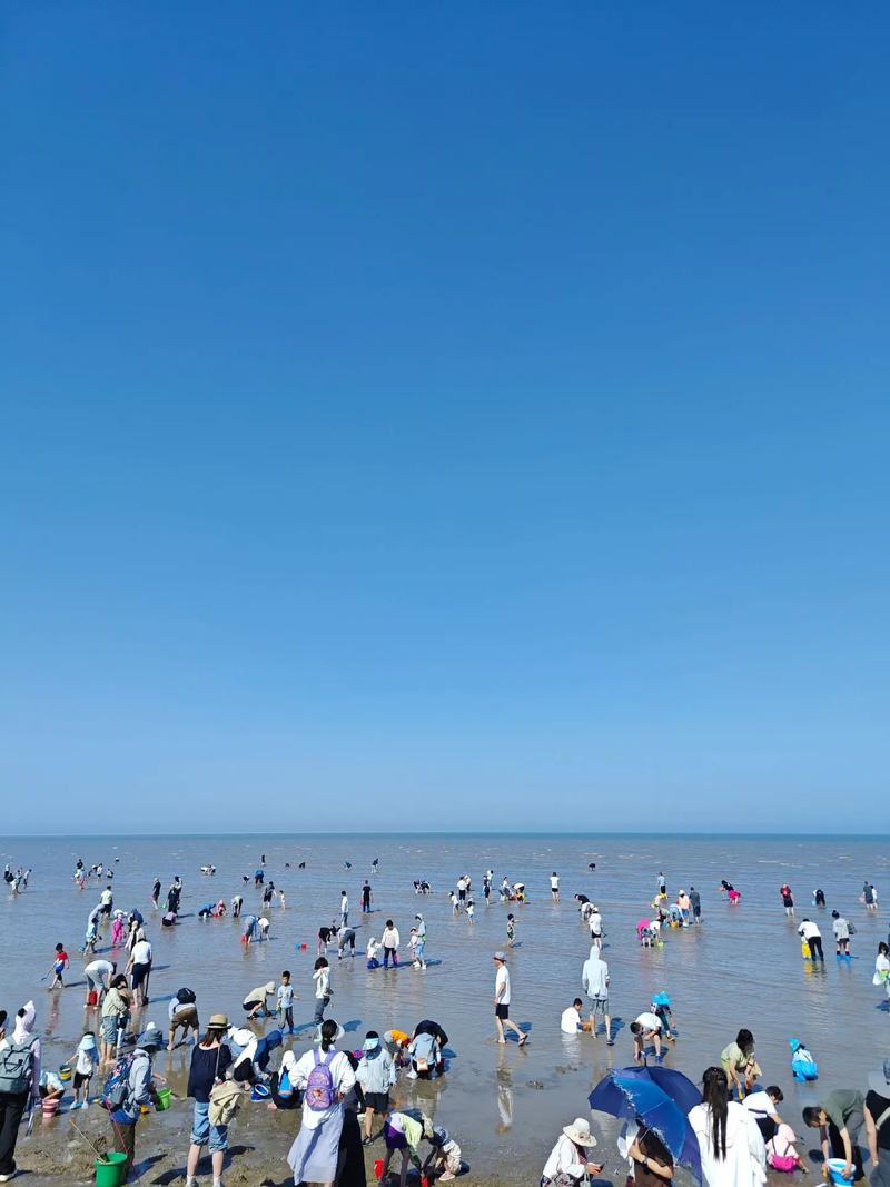 海河外滩公园,天津海河外滩公园-第4张图片-柯迪百科 海河外滩公园,天津海河外滩公园-第4张图片-柯迪百科