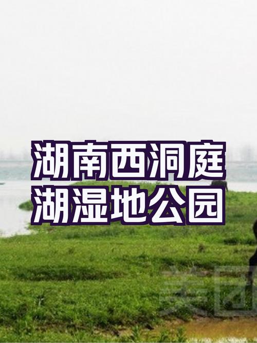 湖南岳阳岳阳楼天气,天气预报15天查询岳阳楼区?-第2张图片-柯迪百科 湖南岳阳岳阳楼天气,天气预报15天查询岳阳楼区?-第2张图片-柯迪百科