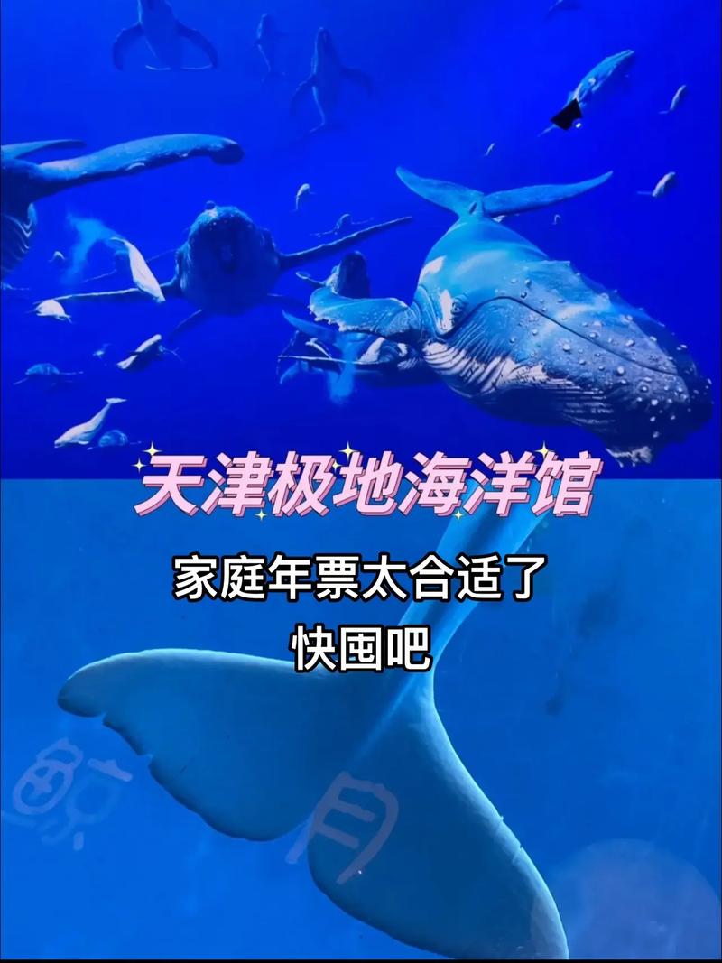 天津海昌极地海洋馆,天津海昌极地海洋馆门票费用-第5张图片-柯迪百科 天津海昌极地海洋馆,天津海昌极地海洋馆门票费用-第5张图片-柯迪百科