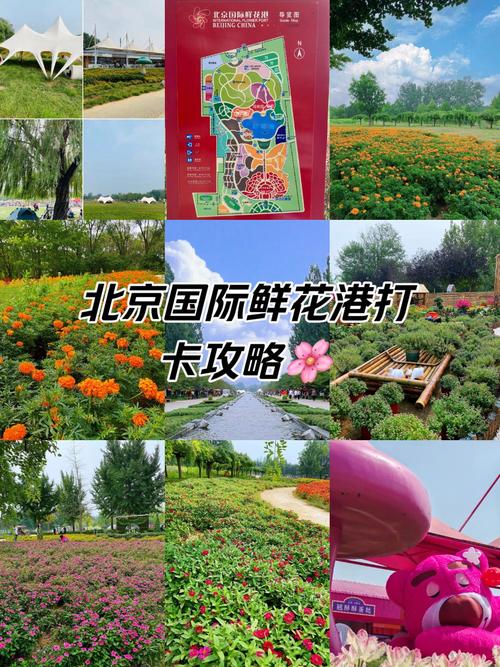 北京世界鲜花港?北京世界鲜花港门票费用?-第5张图片-柯迪百科 北京世界鲜花港?北京世界鲜花港门票费用?-第5张图片-柯迪百科