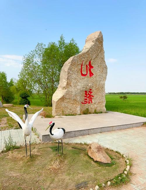 齐齐哈尔扎龙?齐齐哈尔扎龙自然保护区?-第3张图片-柯迪百科 齐齐哈尔扎龙?齐齐哈尔扎龙自然保护区?-第3张图片-柯迪百科