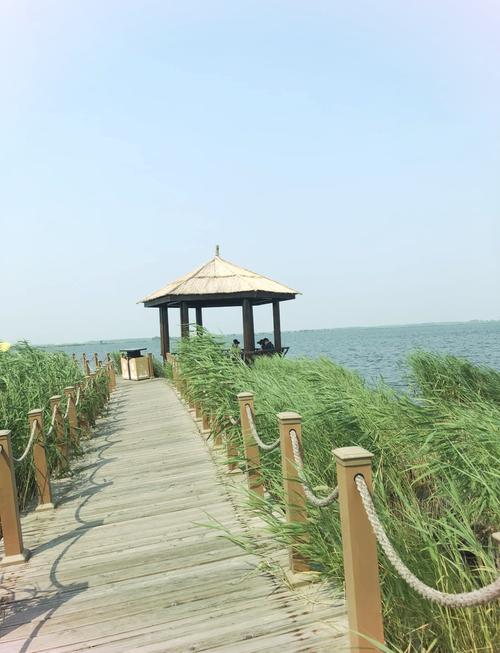 齐齐哈尔扎龙?齐齐哈尔扎龙自然保护区?-第6张图片-柯迪百科 齐齐哈尔扎龙?齐齐哈尔扎龙自然保护区?-第6张图片-柯迪百科