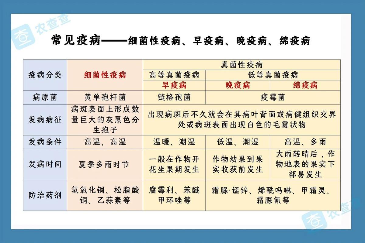 这次疫情与历史上疫情,疫情与历史的关系-第2张图片-柯迪百科 这次疫情与历史上疫情,疫情与历史的关系-第2张图片-柯迪百科