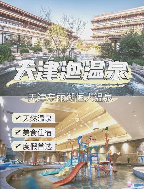 天津东丽湖,天津东丽湖2025年规划?-第4张图片-柯迪百科 天津东丽湖,天津东丽湖2025年规划?-第4张图片-柯迪百科