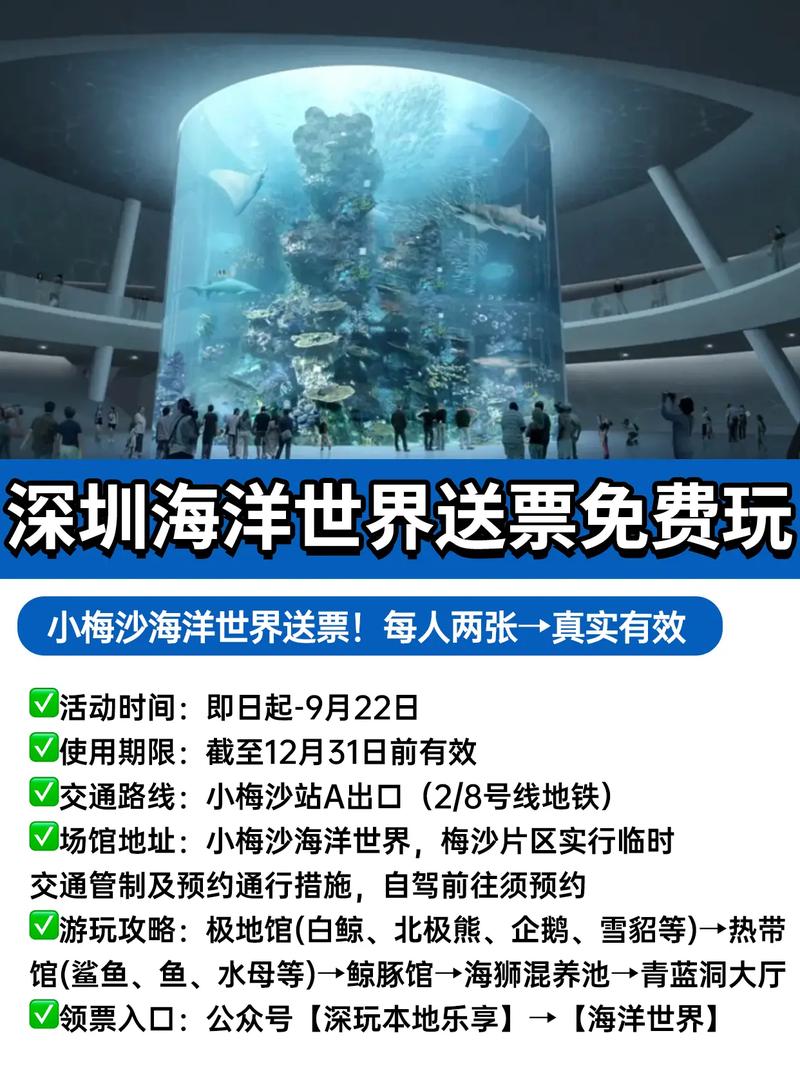 小梅沙门票?小梅沙门票怎么买?-第4张图片-柯迪百科 小梅沙门票?小梅沙门票怎么买?-第4张图片-柯迪百科