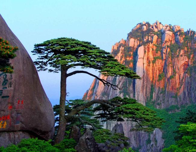 旅游景点大全,新昌旅游景点大全-第4张图片-柯迪百科 旅游景点大全,新昌旅游景点大全-第4张图片-柯迪百科