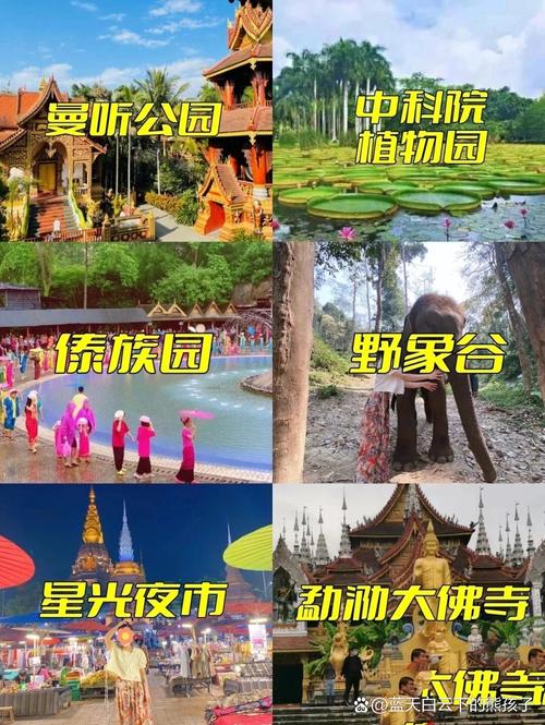 景洪市今日天气情况,景洪今天的天气情况-第5张图片-柯迪百科 景洪市今日天气情况,景洪今天的天气情况-第5张图片-柯迪百科