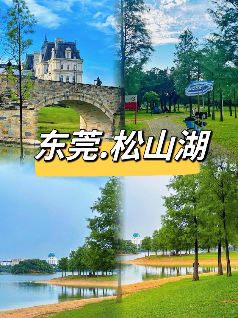 松山湖地图?松山湖地图全图高清版?-第4张图片-柯迪百科 松山湖地图?松山湖地图全图高清版?-第4张图片-柯迪百科